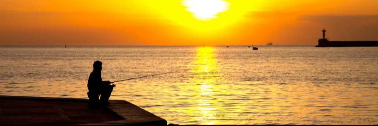 galeanocris's profile banner image