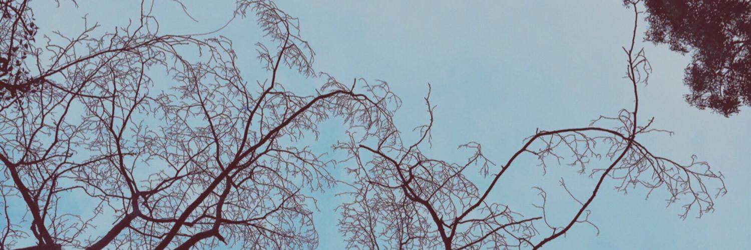 williamxiaozhi's profile banner image