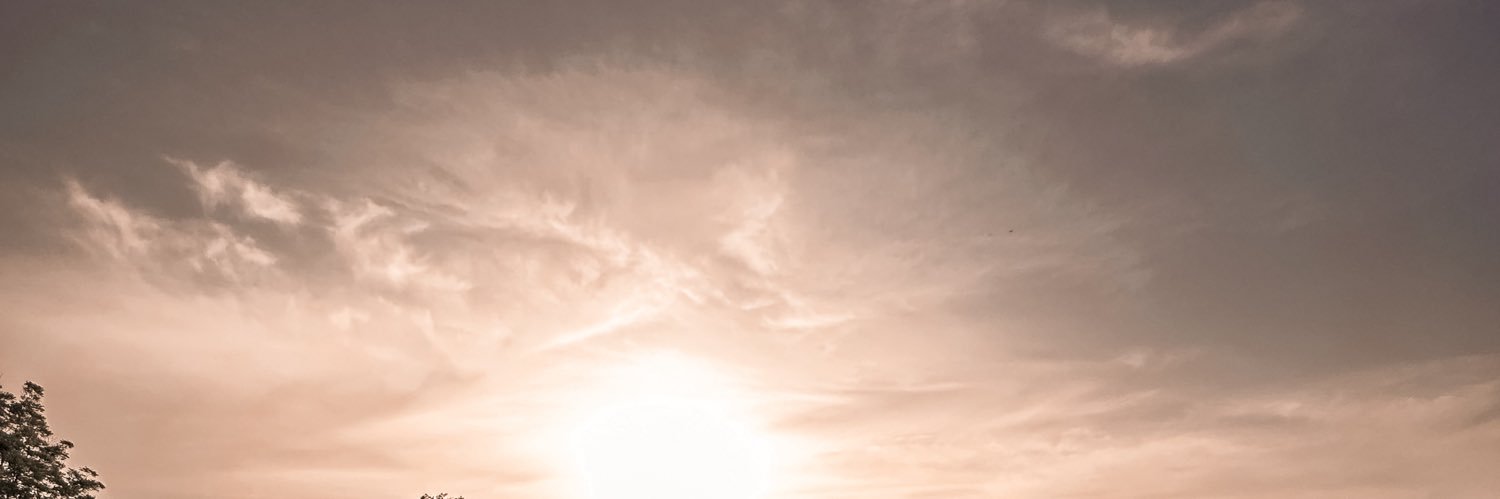 MoserSadie's profile banner image