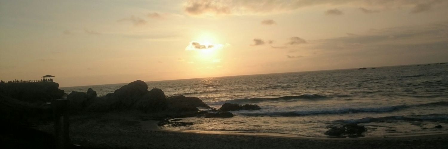 LadyFalconesM's profile banner image
