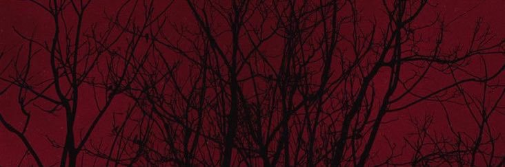 خـالد banner