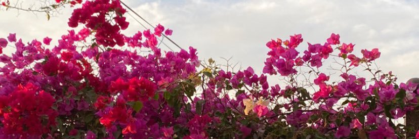 -'s banner