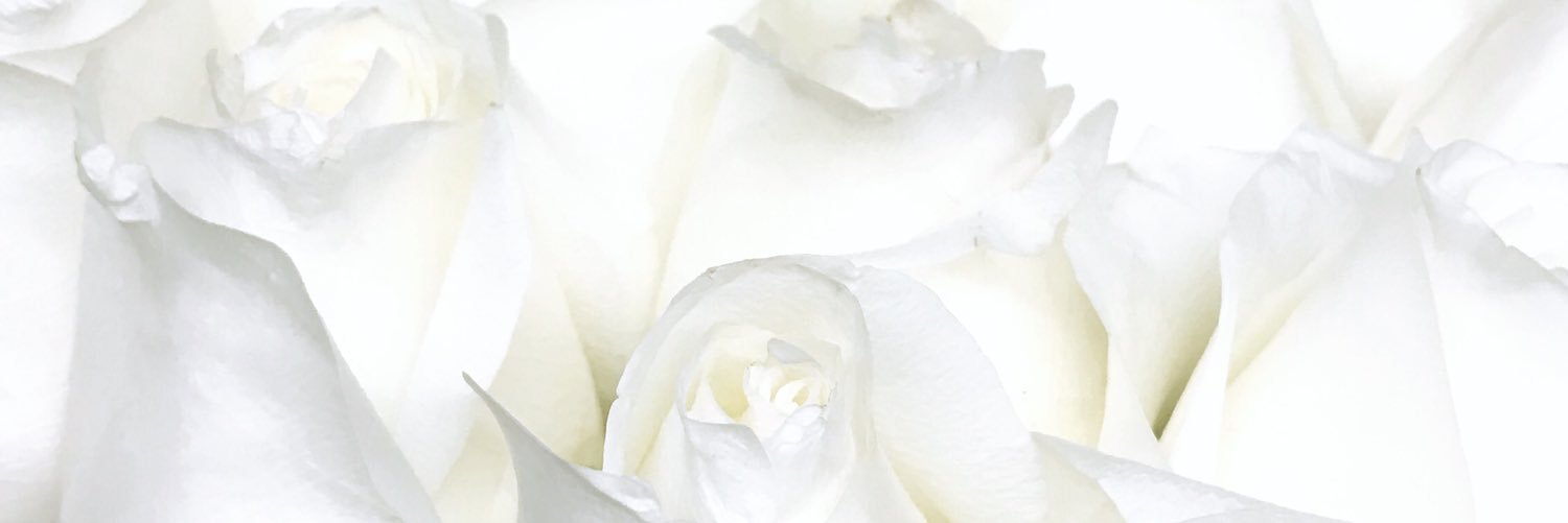 CynthiaLMota's profile banner image