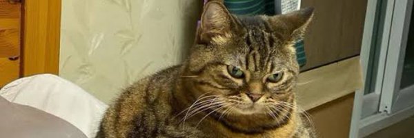 FatalGambit Profile Banner