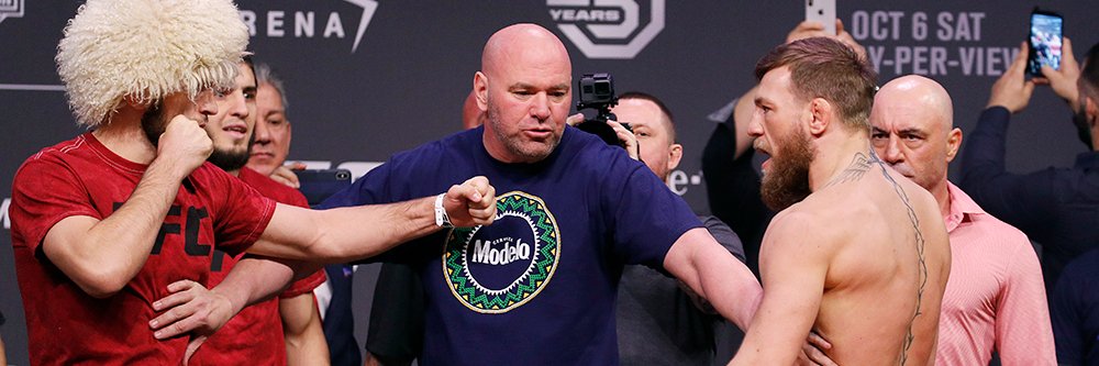 UFC Las Vegas Fans banner