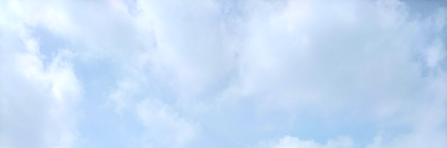 delfinadrnti's profile banner image
