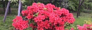 aki__141's profile banner image