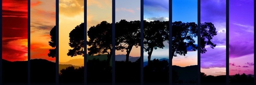 Rodge_2001's profile banner image
