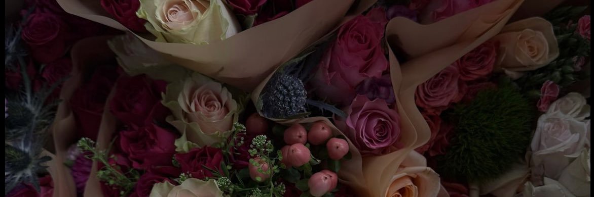 nataliesanchez_'s profile banner image