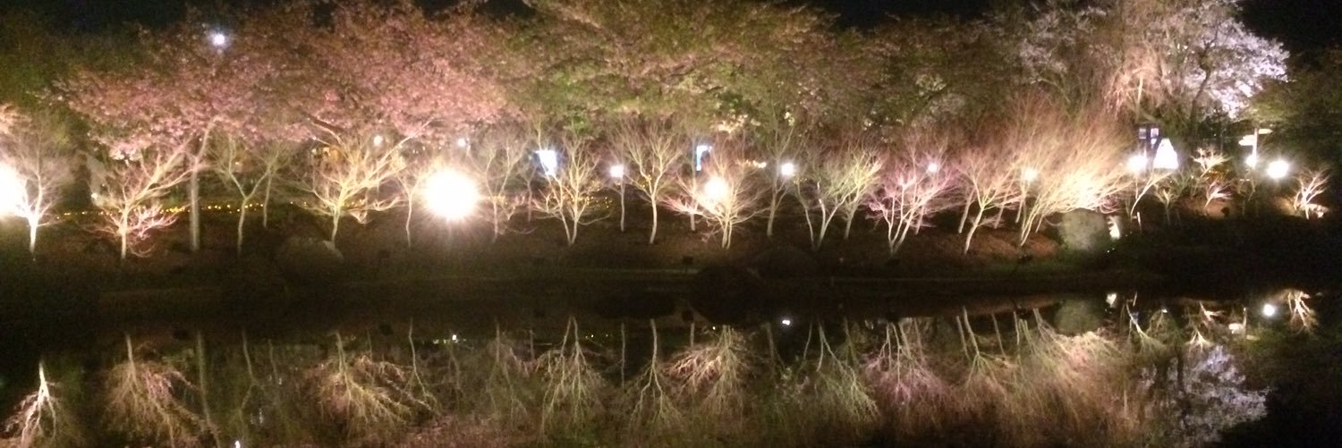 3322Shingo's profile banner image