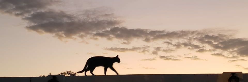 AzariasAlvarez's profile banner image