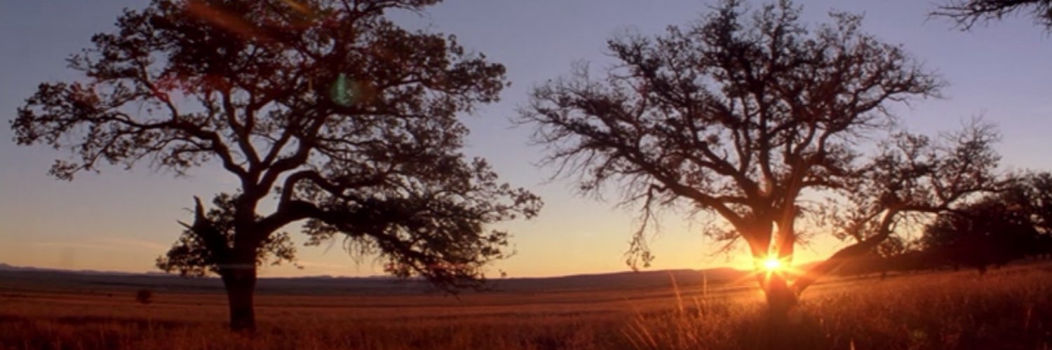 fitterhapier's profile banner image
