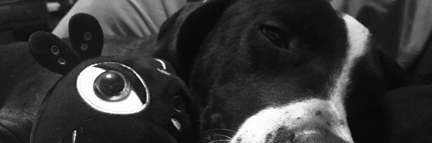 HellPopped's profile banner image
