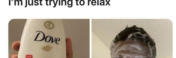 ribbonnyang_S2 Profile Banner