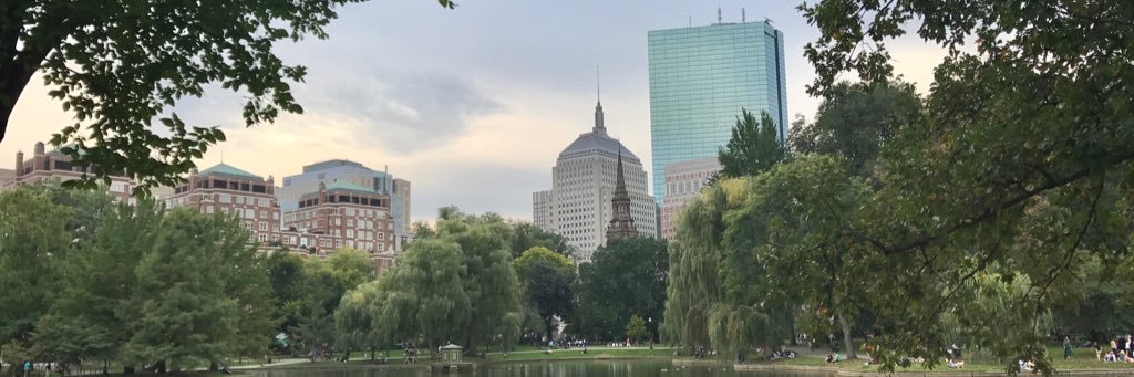 dariooo222's profile banner image