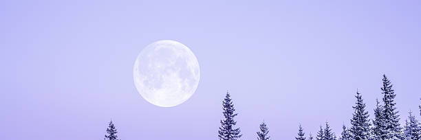 Sarah Lilith ☃️ banner