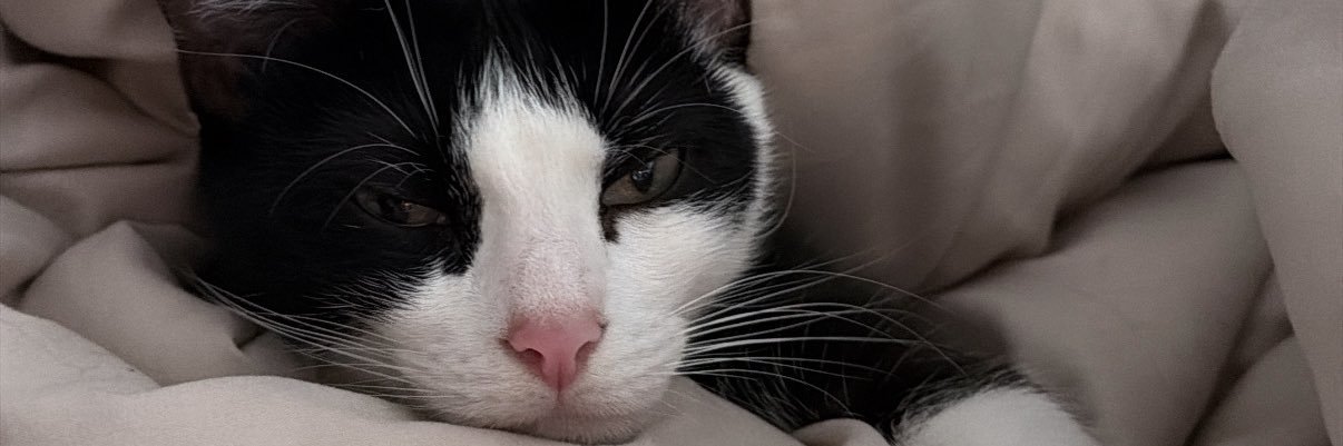 𝓙𝓪𝓬𝓴𝓲𝓮 𐙚⋆°｡⋆♡ banner