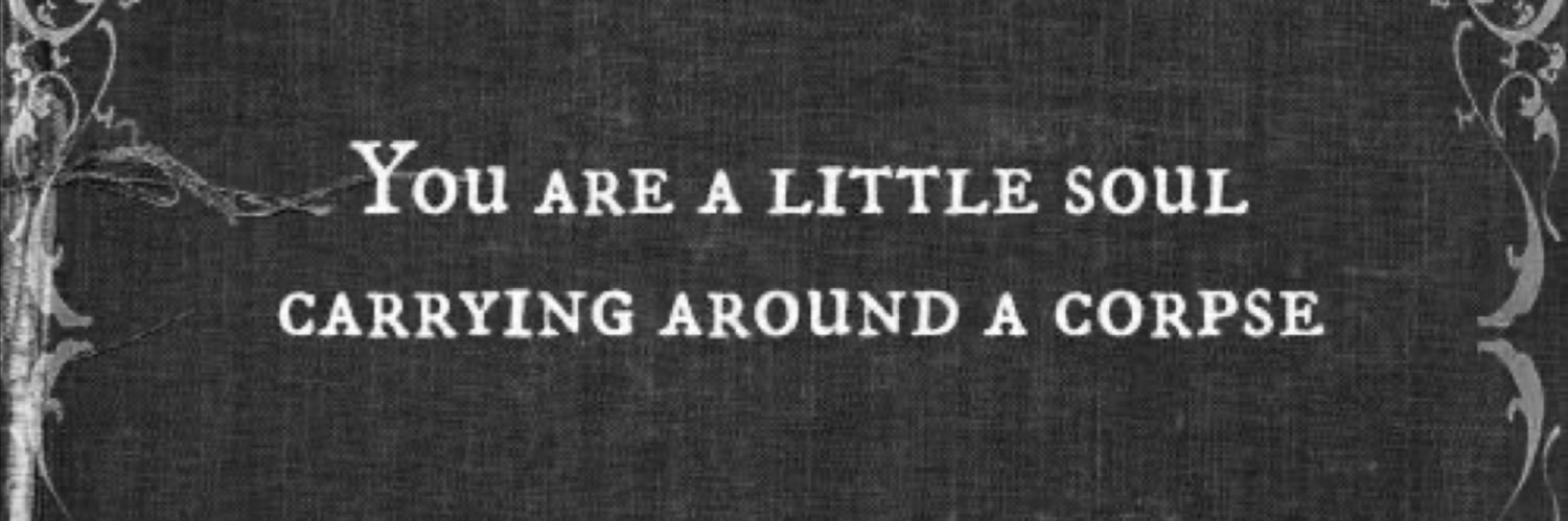 𝓐𝓵𝓲𝓬𝓮 banner