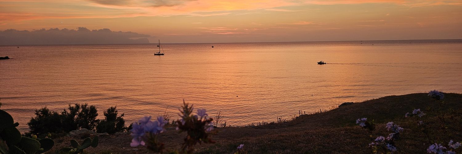 MsAnnaEsposito's profile banner image