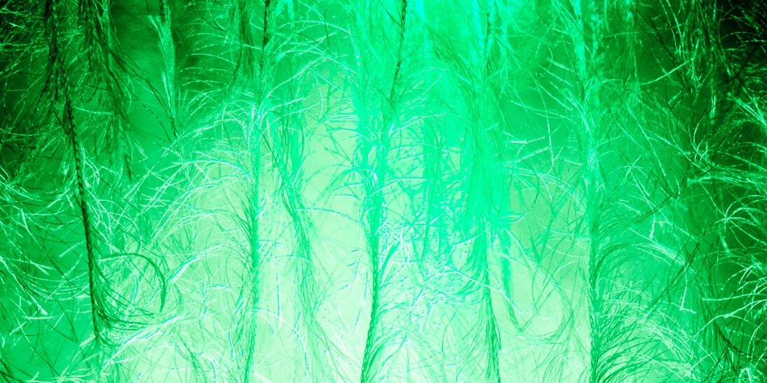 Calvin banner