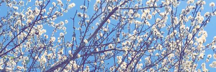 dalonsocb's profile banner image