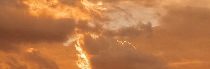 Emma Bloom banner