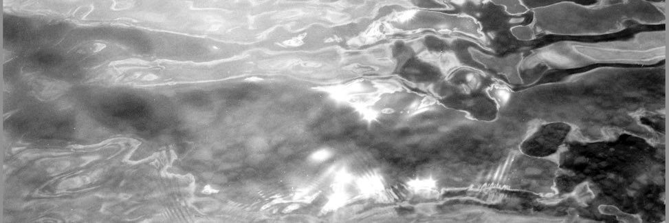 benryfauna's profile banner image