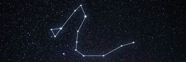 Cryptidsxrpl Profile Banner