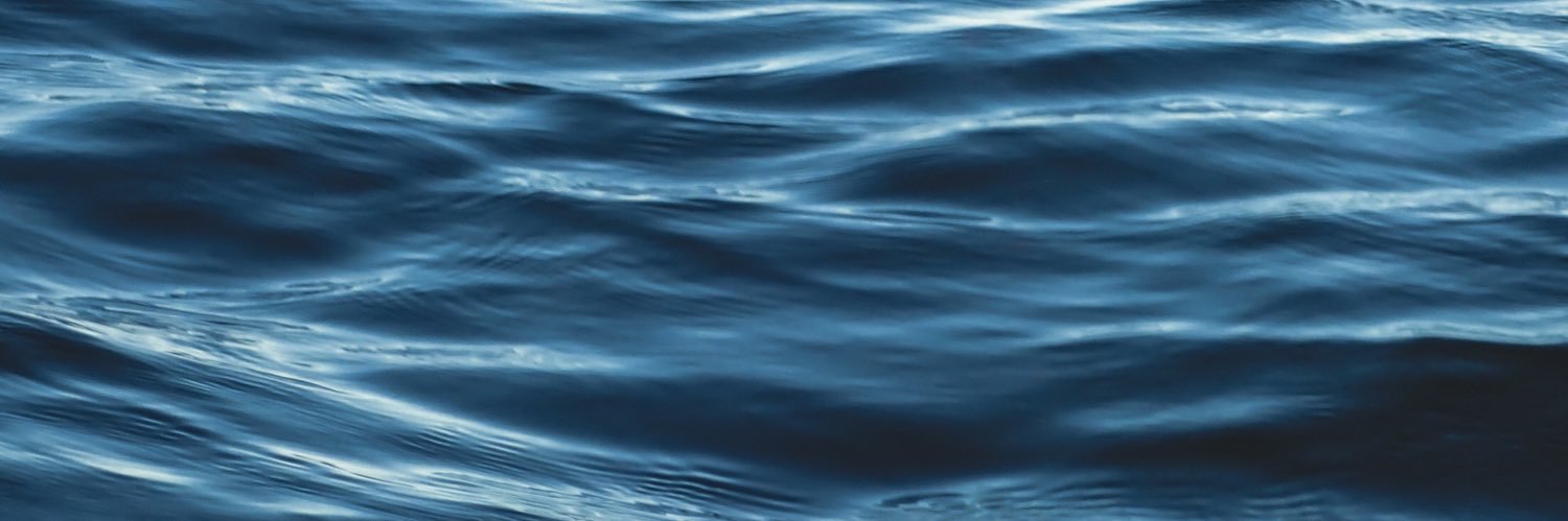 inescatpower's profile banner image