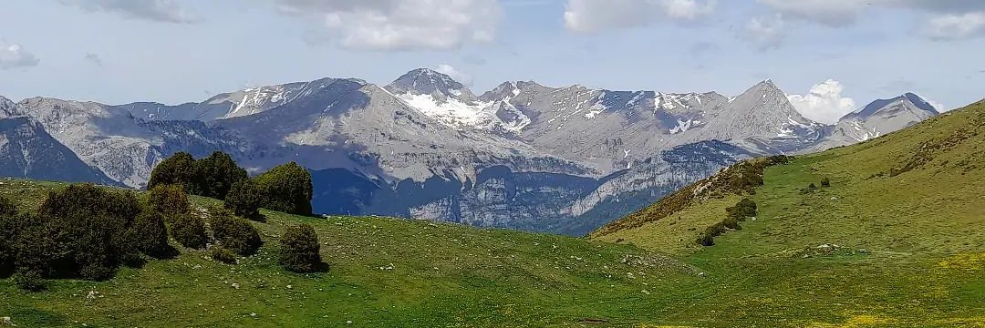 José Luis Solanilla banner