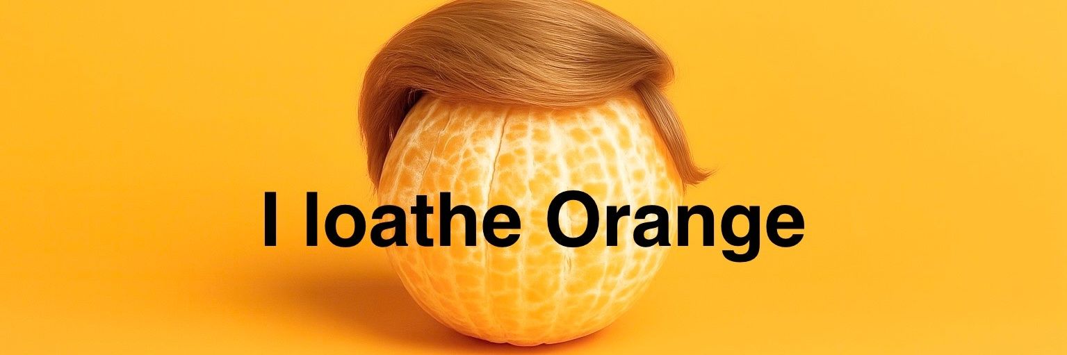 🌻𝑳𝒊𝒑𝒑𝒚🇺🇸🇺🇦 banner