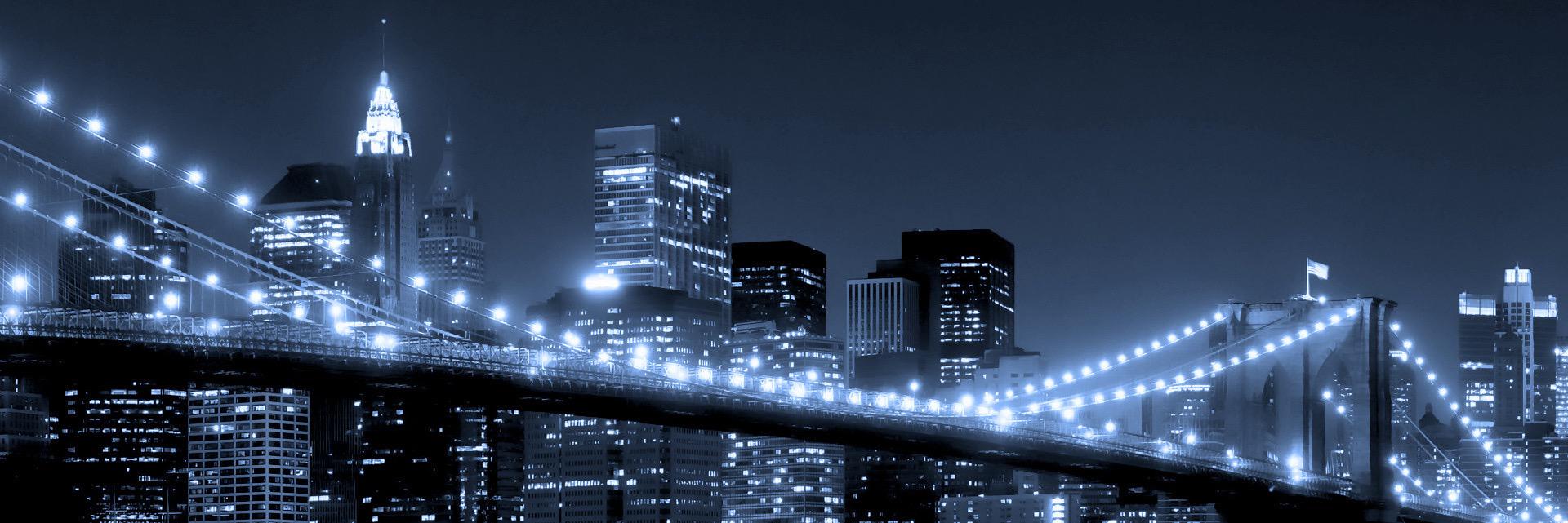 David Petrozziello banner