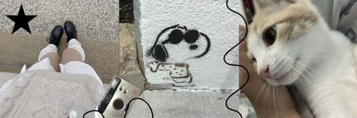 Snoopy's banner