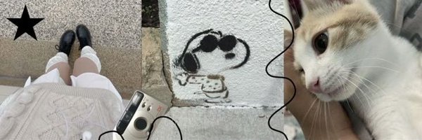 snoopyhero53 Profile Banner