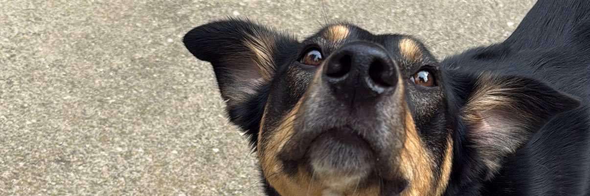 hputts21's profile banner image