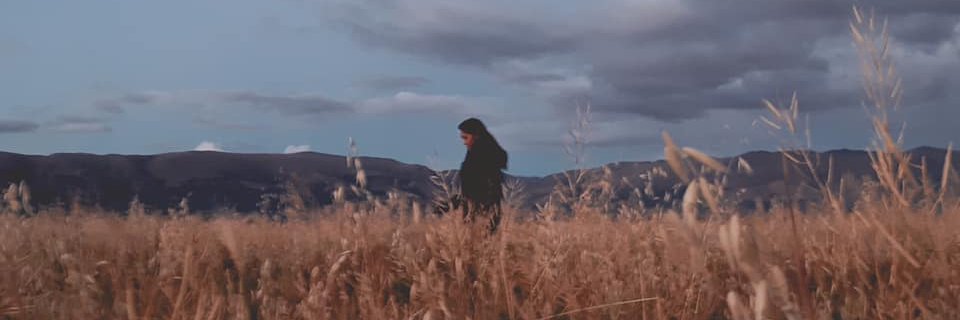 __itsnat's profile banner image