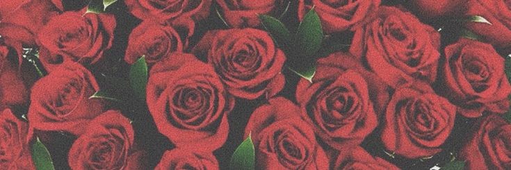 Indi_Coria's profile banner image