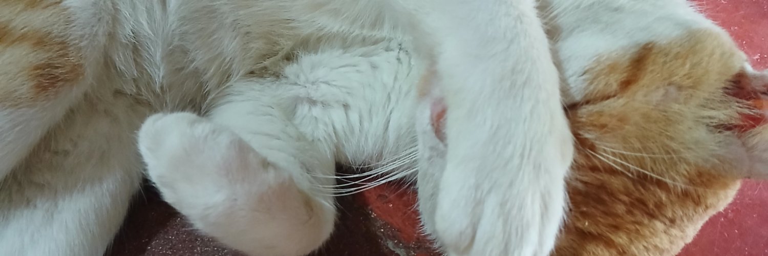 Jessiieenn's profile banner image