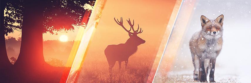 jsantarossa's profile banner image