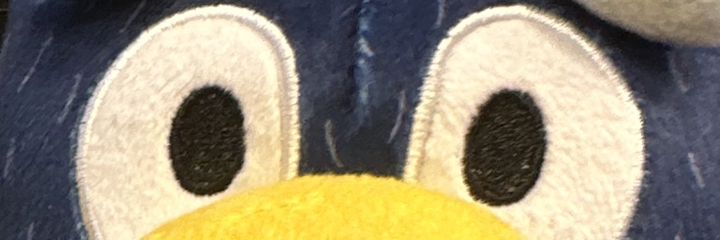wrongdamnguy's profile banner image