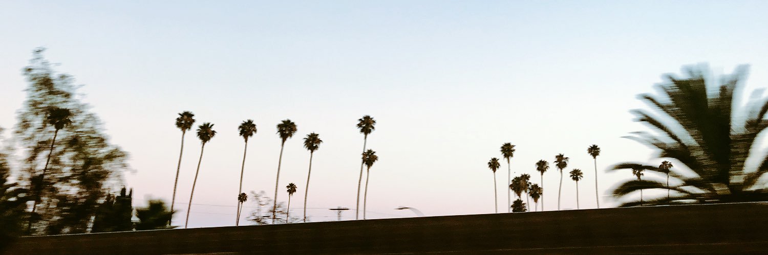 laurakrvuse's profile banner image