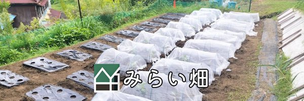 mirai_sakae Profile Banner