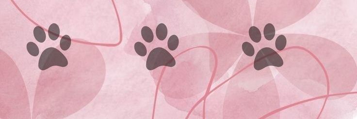 MartinezMalee's profile banner image