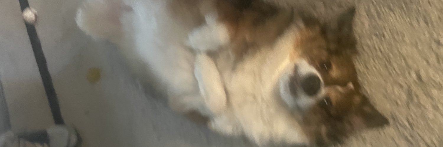The Nefarious Stew banner