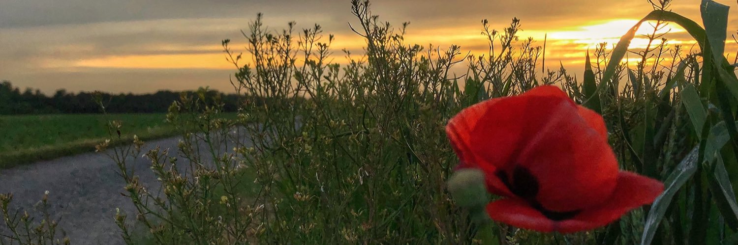 Andrew Holmes banner