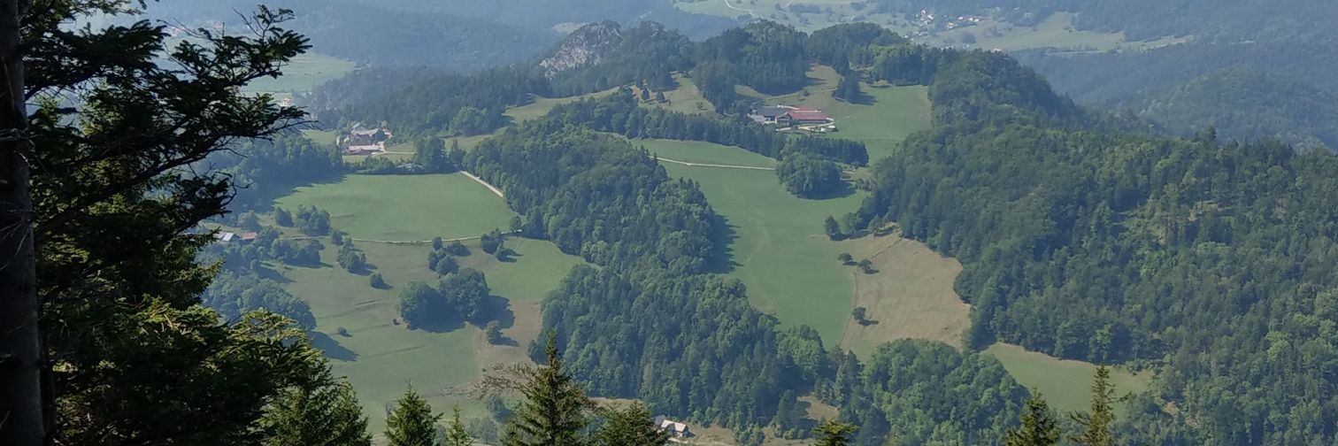 PHuebelbauer's profile banner image