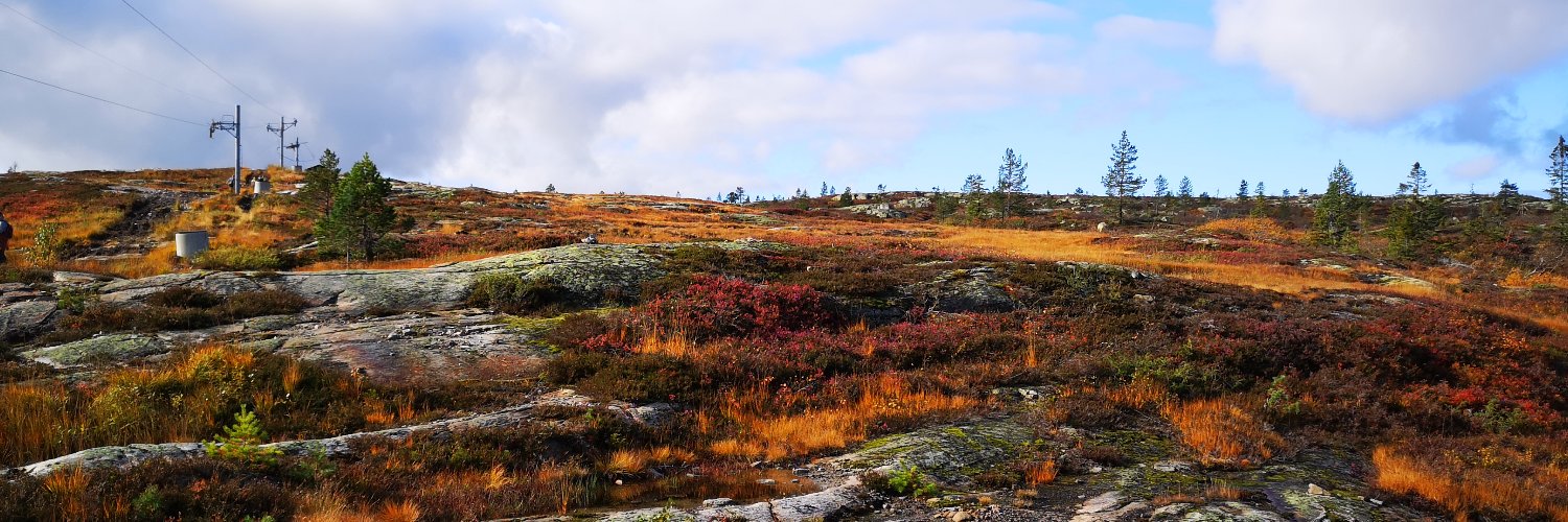 beneHolm's profile banner image