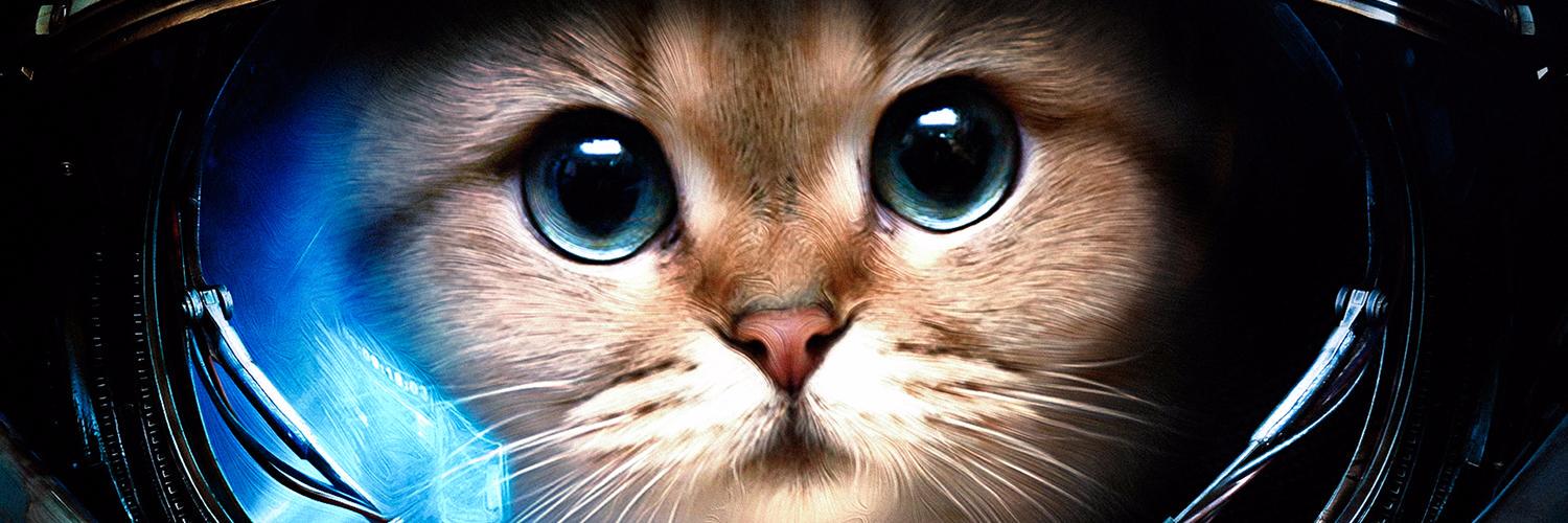 redcat157's profile banner image