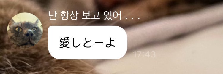 루루 banner