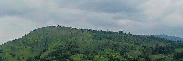 Navixor Profile Banner